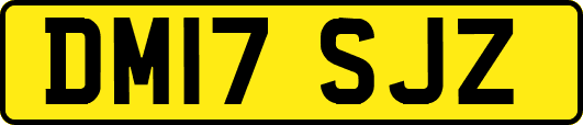 DM17SJZ