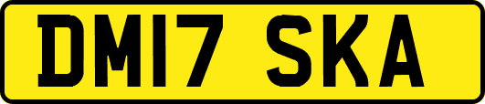 DM17SKA