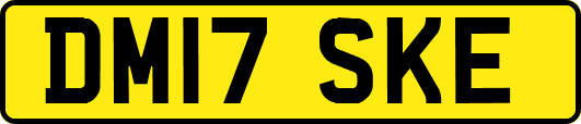 DM17SKE