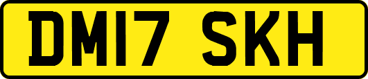 DM17SKH