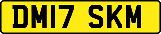 DM17SKM