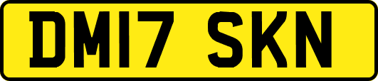 DM17SKN