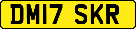 DM17SKR