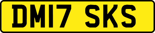 DM17SKS