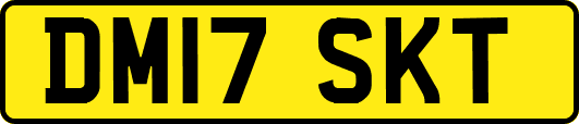 DM17SKT