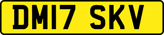 DM17SKV