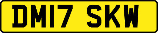 DM17SKW