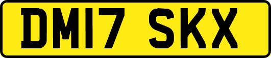 DM17SKX