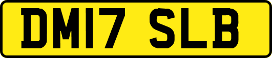 DM17SLB