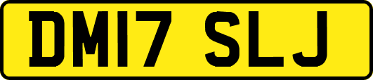 DM17SLJ