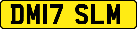 DM17SLM