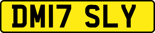 DM17SLY