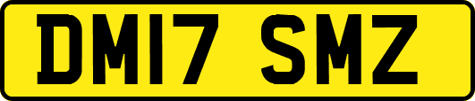 DM17SMZ