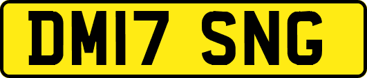 DM17SNG