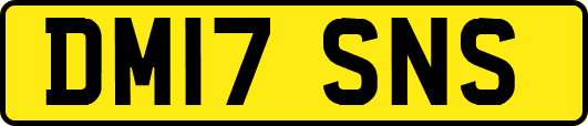 DM17SNS