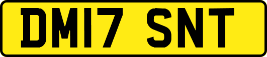 DM17SNT