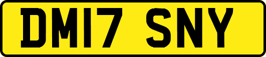 DM17SNY