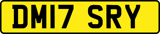 DM17SRY