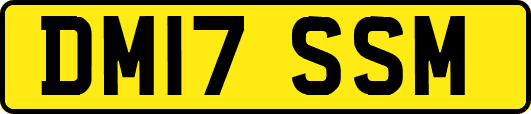 DM17SSM