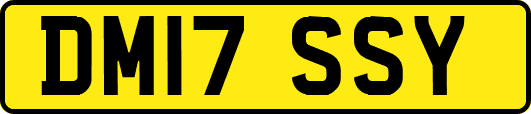 DM17SSY