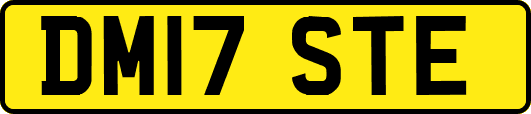 DM17STE
