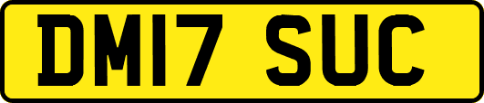 DM17SUC