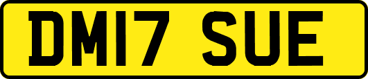 DM17SUE