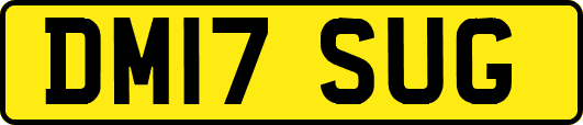 DM17SUG