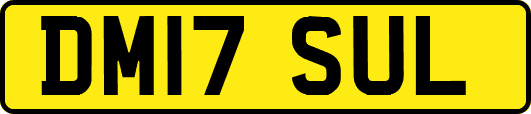 DM17SUL