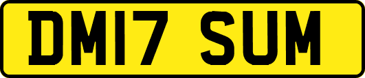 DM17SUM