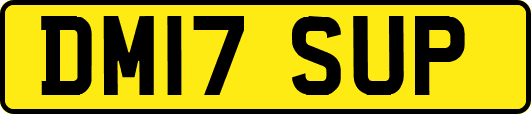 DM17SUP