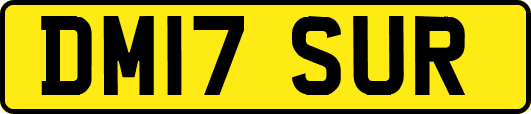DM17SUR