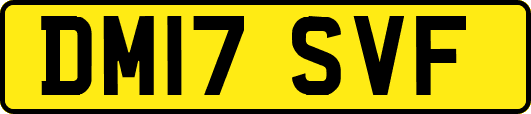 DM17SVF