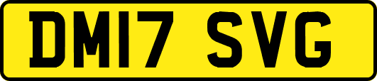DM17SVG