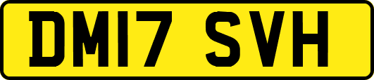 DM17SVH