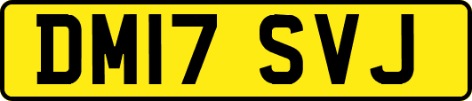 DM17SVJ