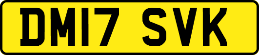 DM17SVK