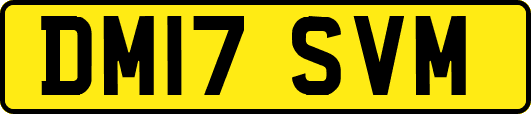 DM17SVM