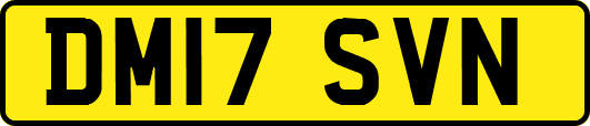 DM17SVN