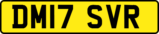 DM17SVR