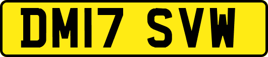 DM17SVW