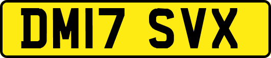 DM17SVX