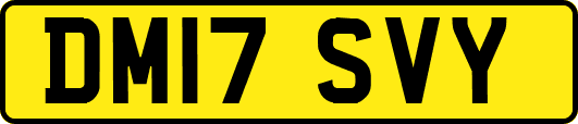 DM17SVY