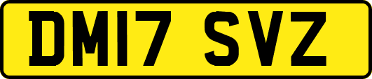 DM17SVZ