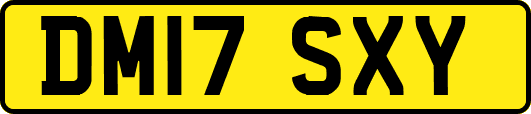 DM17SXY