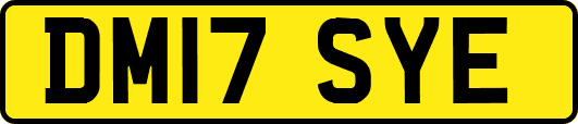DM17SYE