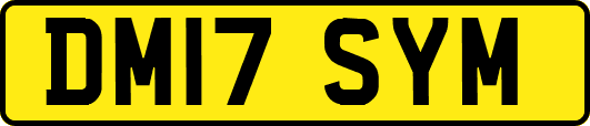 DM17SYM