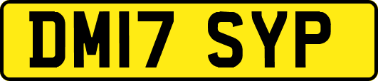 DM17SYP