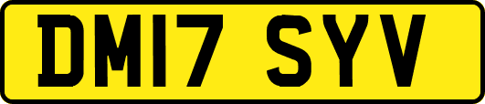 DM17SYV