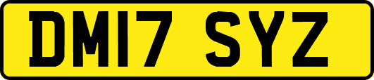 DM17SYZ